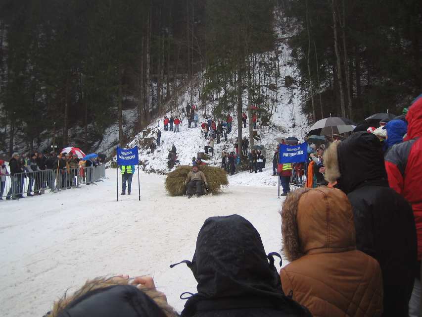 2008_01_06_Hornschlittenrennen_022