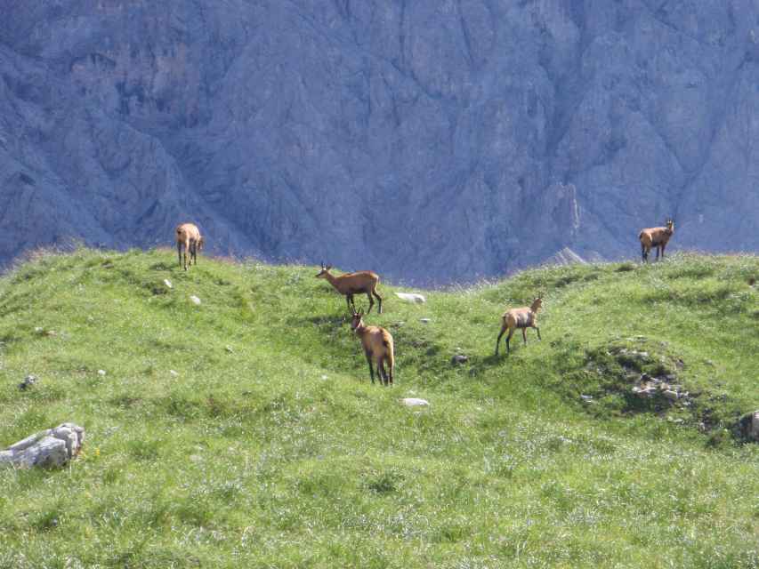 2008_08_09-10_Watzmann_128