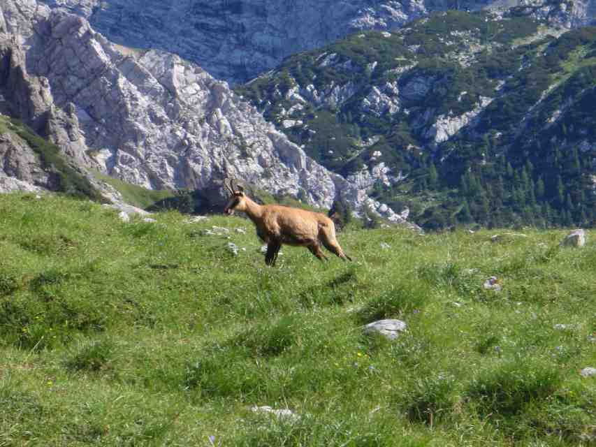 2008_08_09-10_Watzmann_130