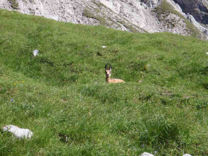 2008_08_09-10_Watzmann_131