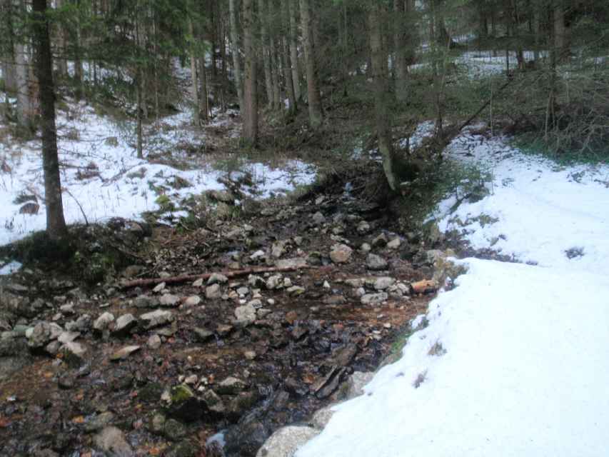 2009_01_25_Breitenstein_004