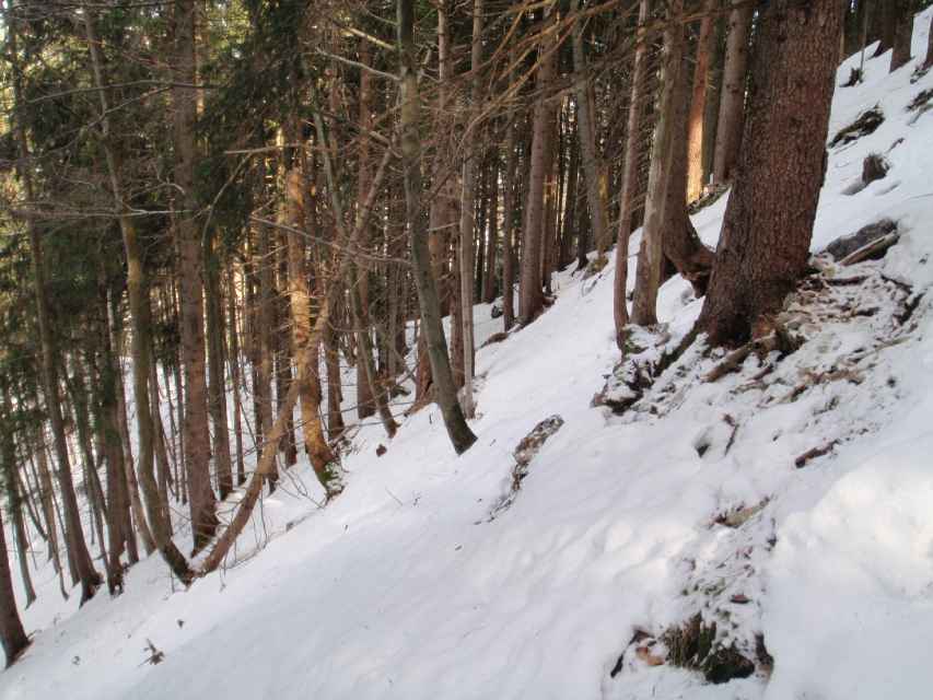 2009_03_22_Geierstein_006