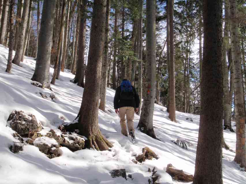 2009_03_22_Geierstein_008