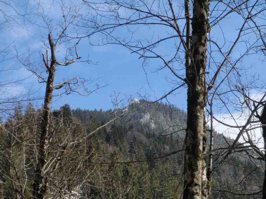 2009_03_22_Geierstein_009