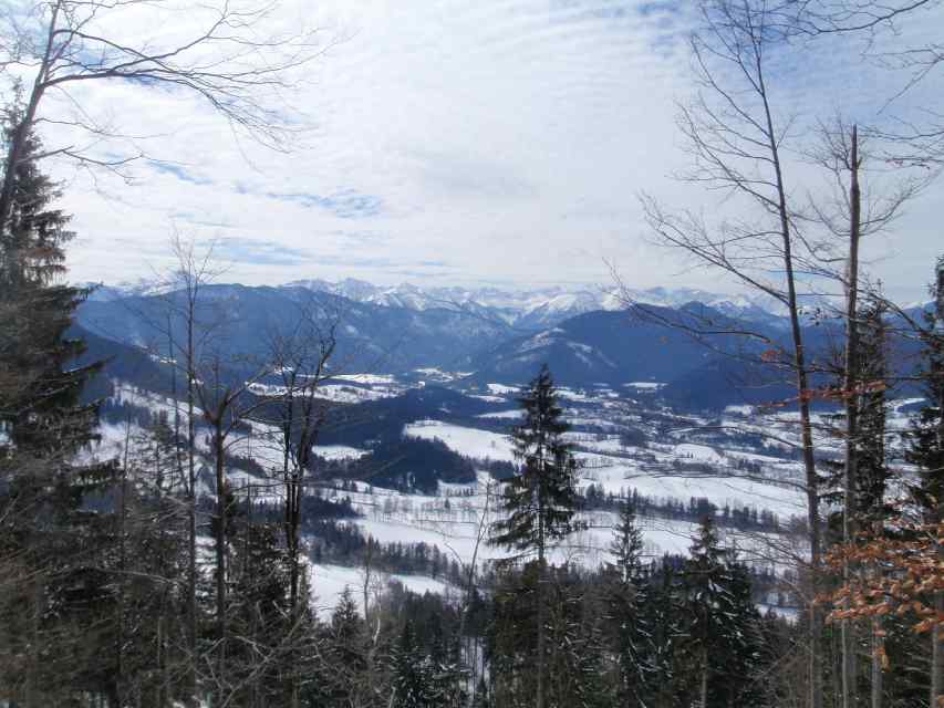 2009_03_22_Geierstein_013