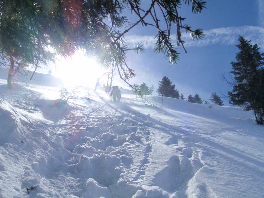 2009_03_22_Geierstein_024