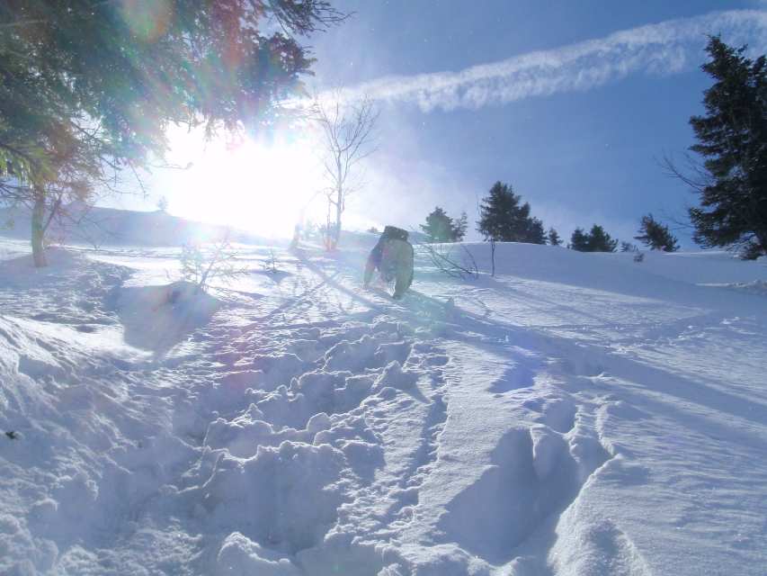 2009_03_22_Geierstein_027