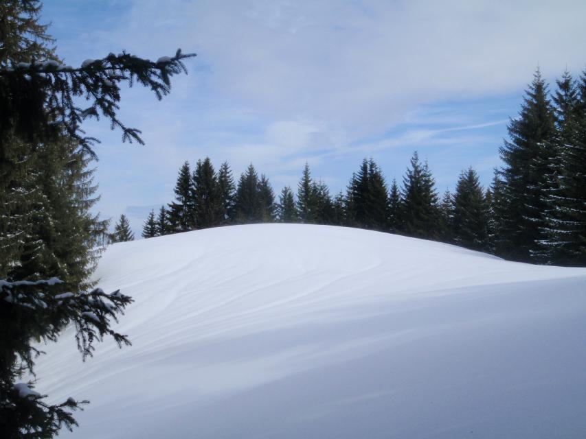 2009_03_22_Geierstein_030