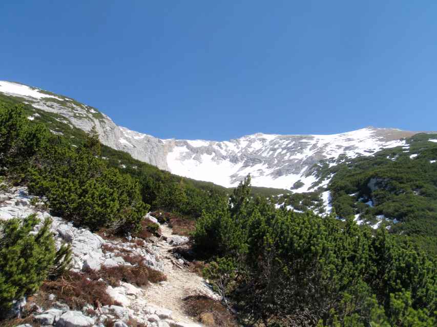 2009_05_17_Pleisenspitze_022