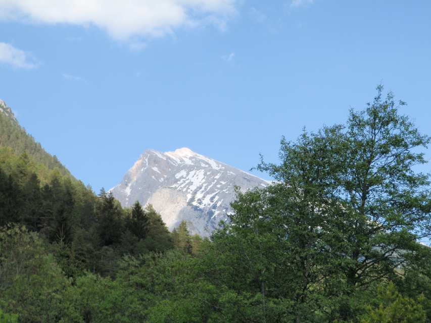 2009_05_17_Pleisenspitze_063