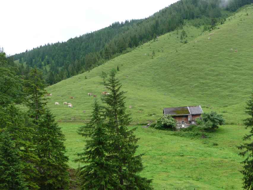 2009_06_27_Trainsjoch_020