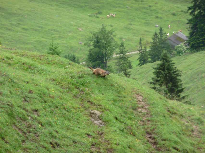 2009_06_27_Trainsjoch_033