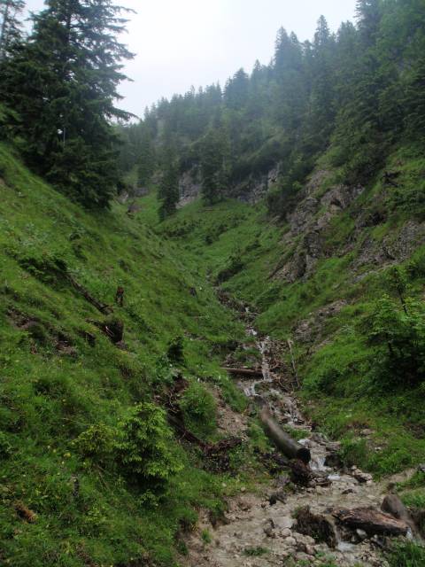 2009_06_27_Trainsjoch_037