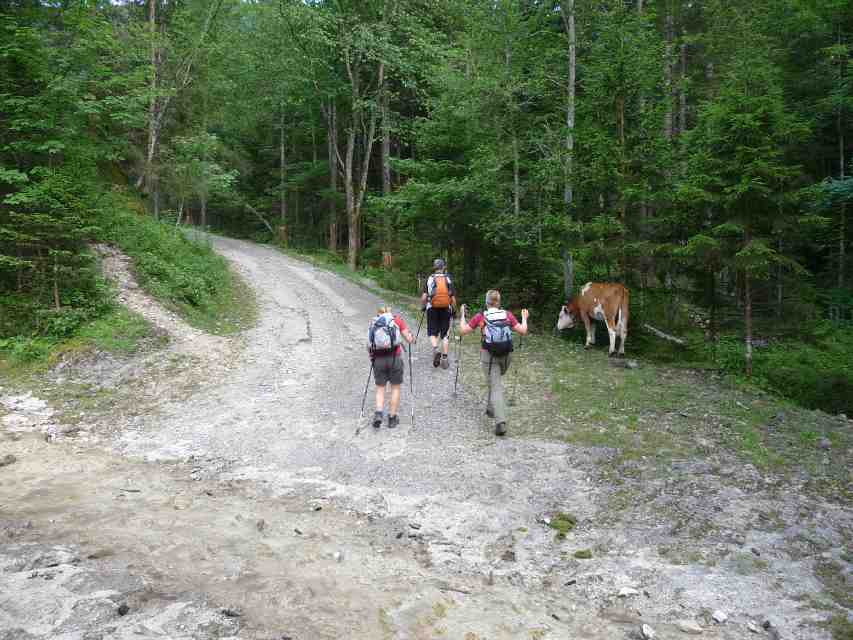 2009_07_14_Hochsalwand_006