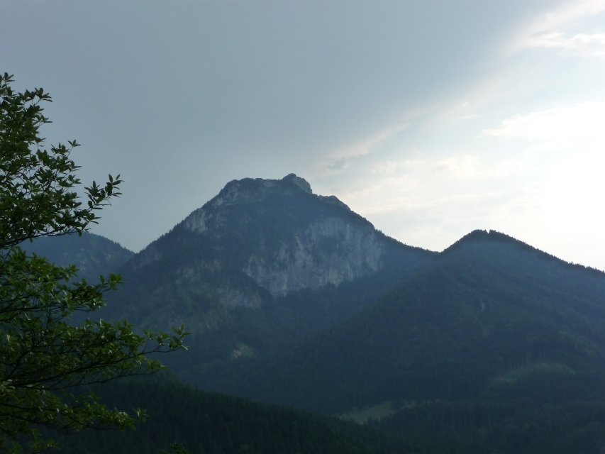 2009_07_14_Hochsalwand_009