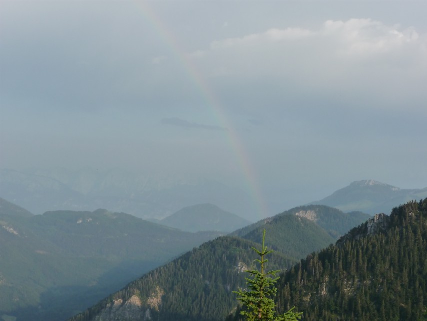 2009_07_14_Hochsalwand_040