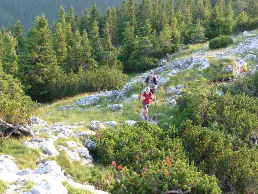 2009_07_14_Hochsalwand_057