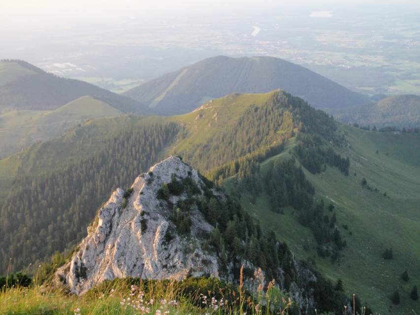 2009_07_14_Hochsalwand_065