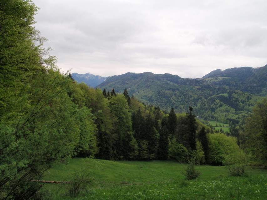 2010_05_07_Breitenstein-Chiemgau_001