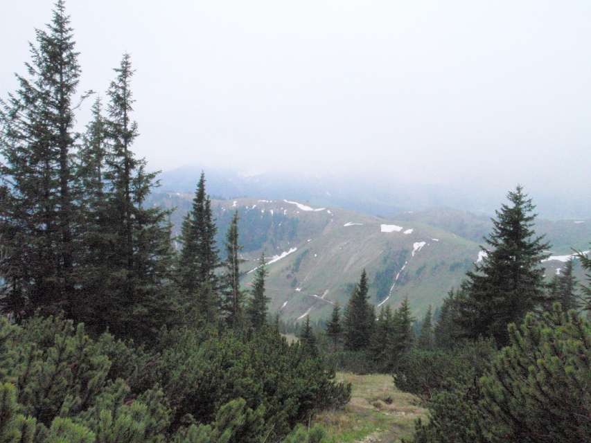 2010_05_07_Breitenstein-Chiemgau_023