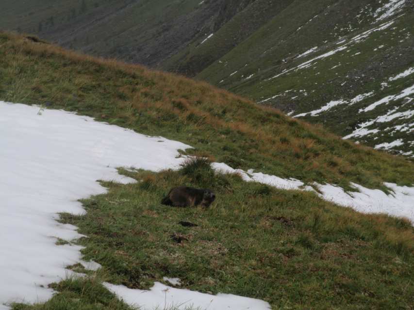 2010_09_04-05_Grossglockner_008