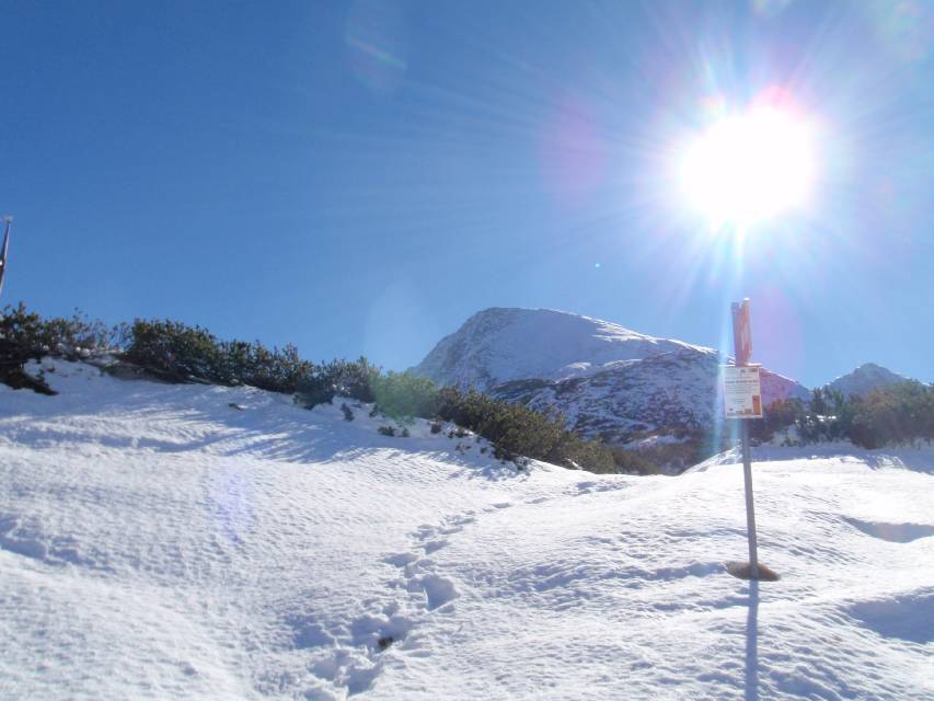 2010_10_30_Schneibstein_028