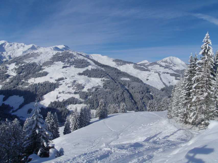 2011_01_23_Schwarzkogel_013