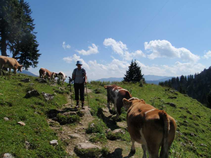 2011_08_02_Wendelstein_011