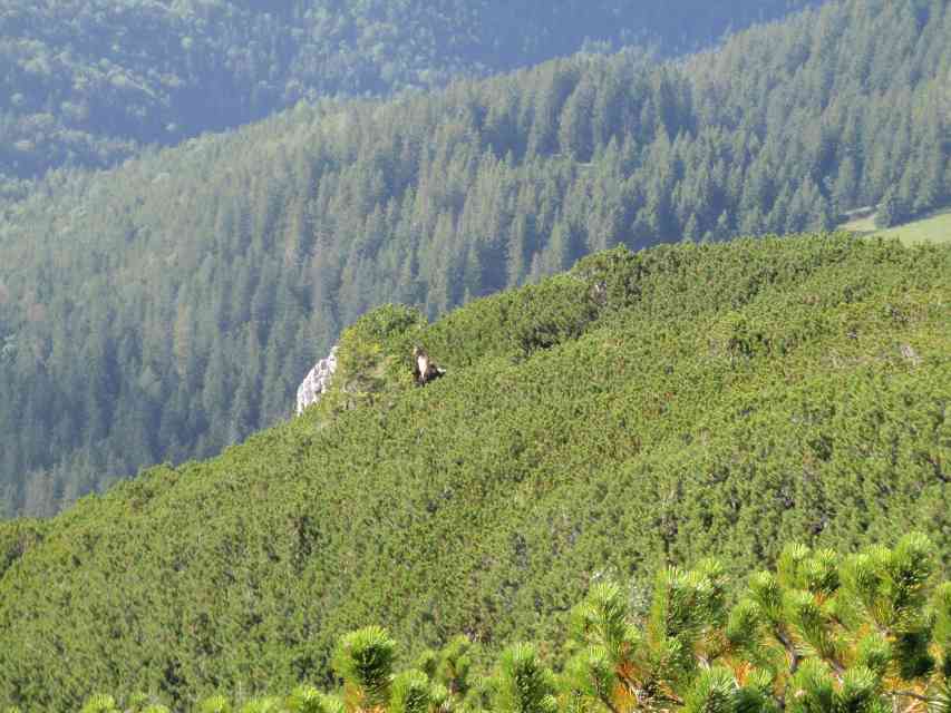 2011_08_02_Wendelstein_034