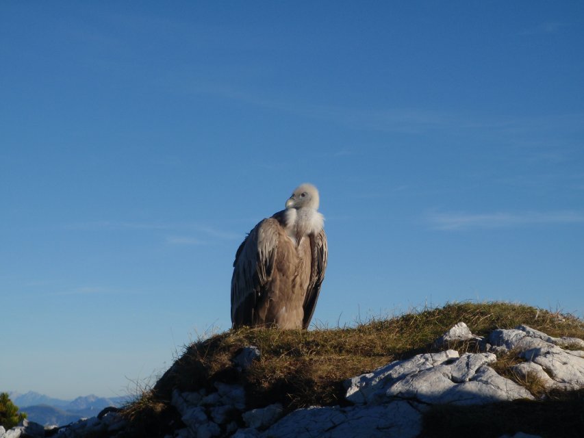 2011_10_15_Untersberg_078