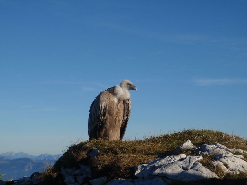 2011_10_15_Untersberg_081