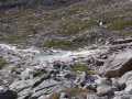 2008_07_Greenland_407