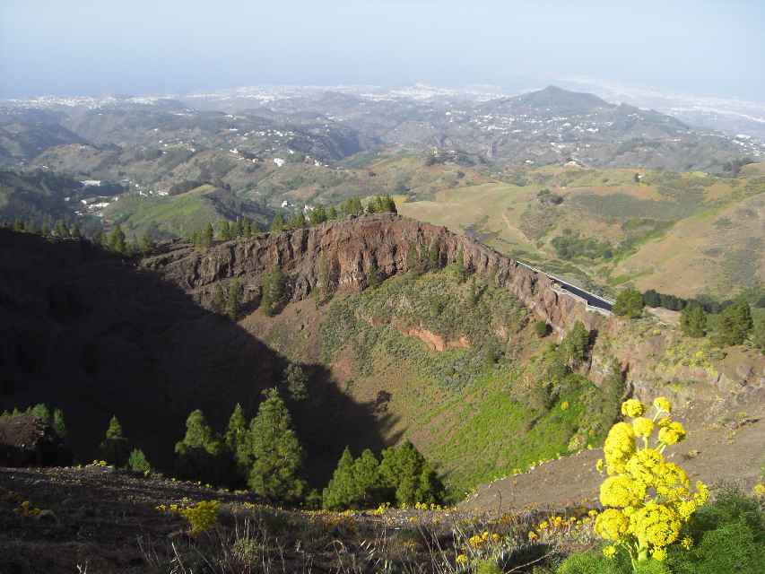 2008_Mai_Gran_Canaria_096