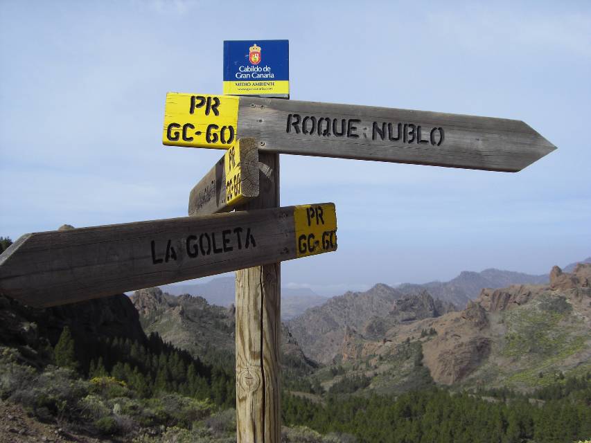 2008_Mai_Gran_Canaria_173