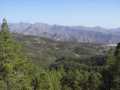 2008_Mai_Gran_Canaria_088