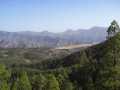 2008_Mai_Gran_Canaria_089