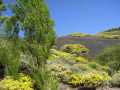 2008_Mai_Gran_Canaria_093