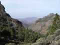 2008_Mai_Gran_Canaria_167