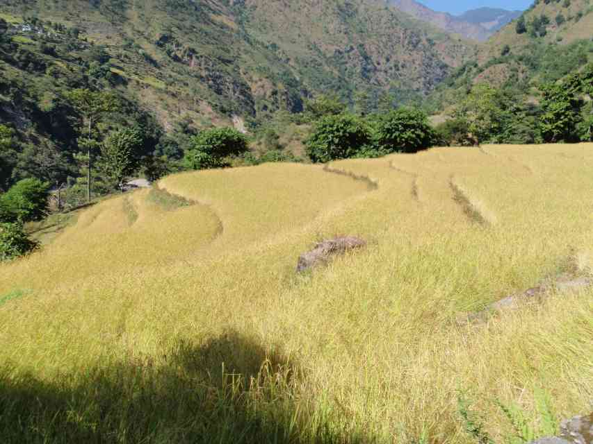 2009_11_06-29_Nepal_0114