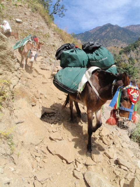 2009_11_06-29_Nepal_0171