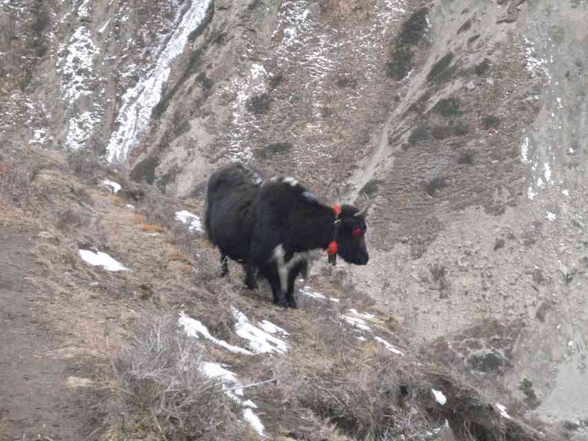 2009_11_06-29_Nepal_0738