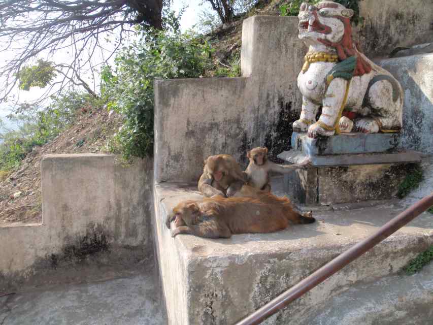 2009_11_06-29_Nepal_1851