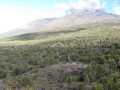 2011_06_11-25_Kenia_0416