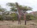 2011_06_11-25_Kenia_1043