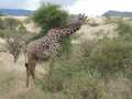 2011_06_11-25_Kenia_1057