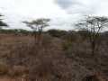 2011_06_11-25_Kenia_1134