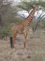 2011_06_11-25_Kenia_1146