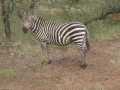 2011_06_11-25_Kenia_1438