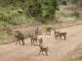 2011_06_11-25_Kenia_1492