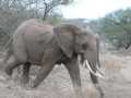 2011_06_11-25_Kenia_1608